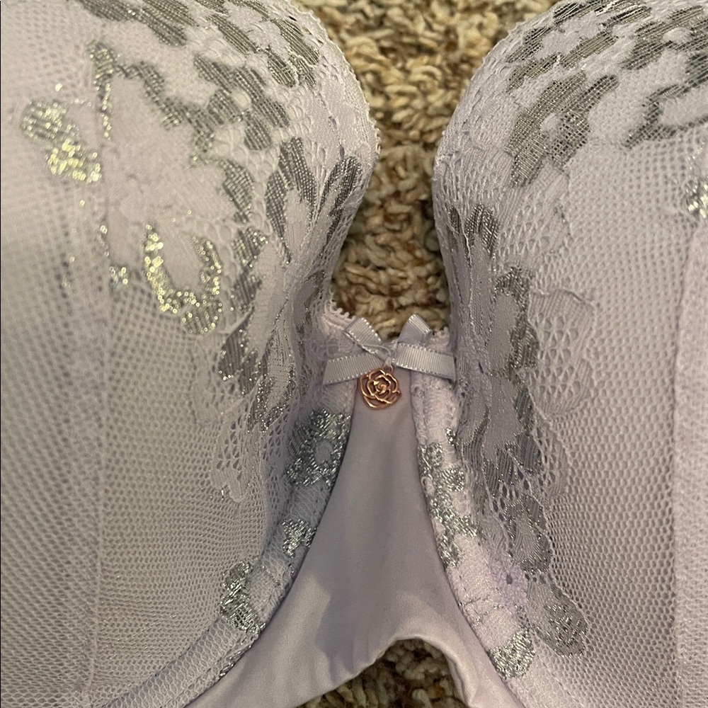Lace Embroidered Bra - Picture 2 of 3
